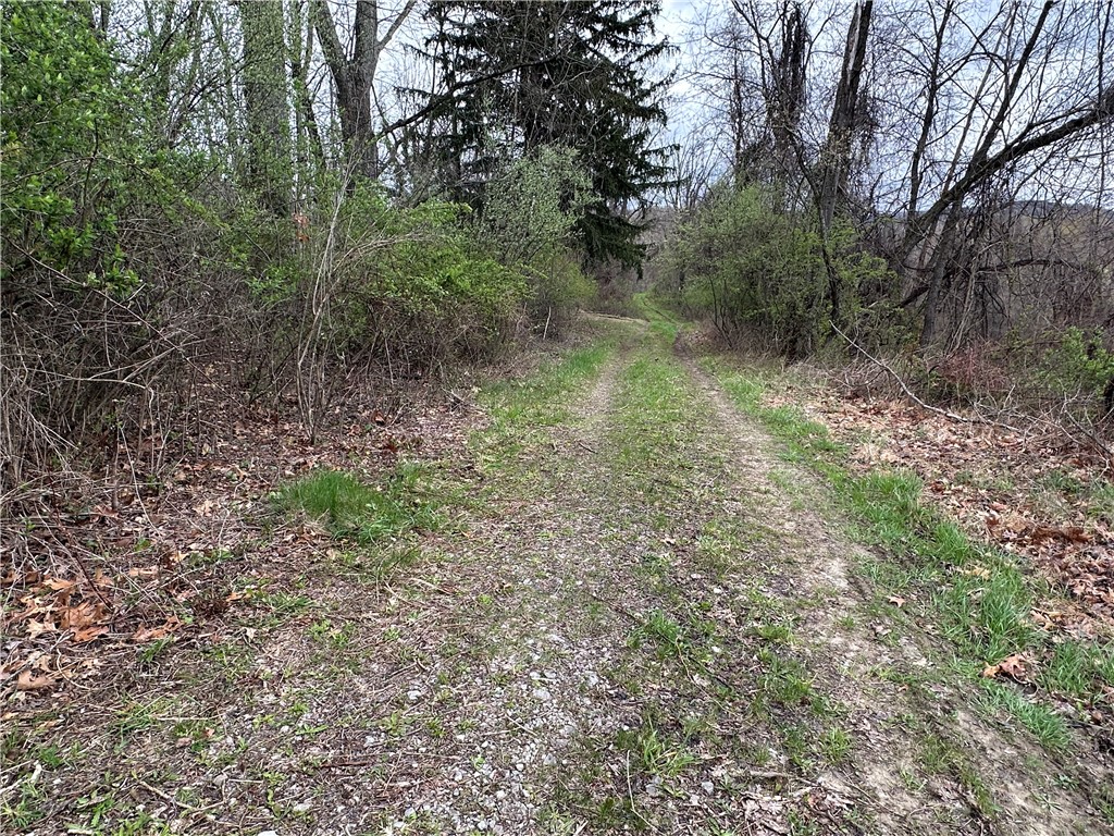 3950 Dunnett Lane Ln, Murrysville, Pennsylvania image 10