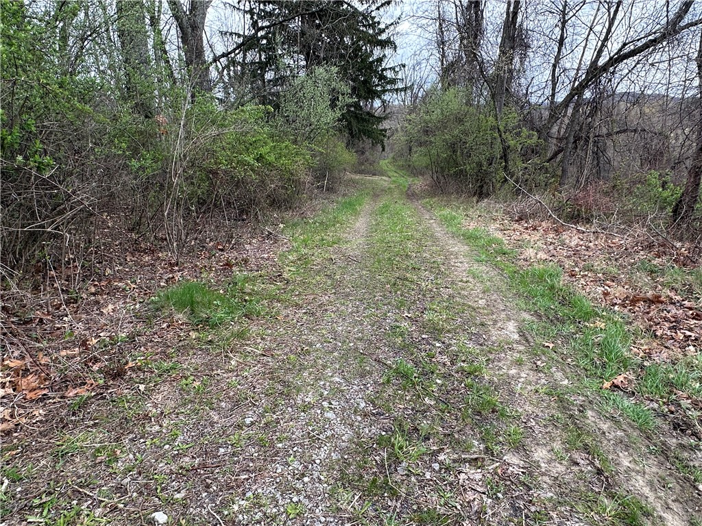 3950 Dunnett Lane Ln, Murrysville, Pennsylvania image 11