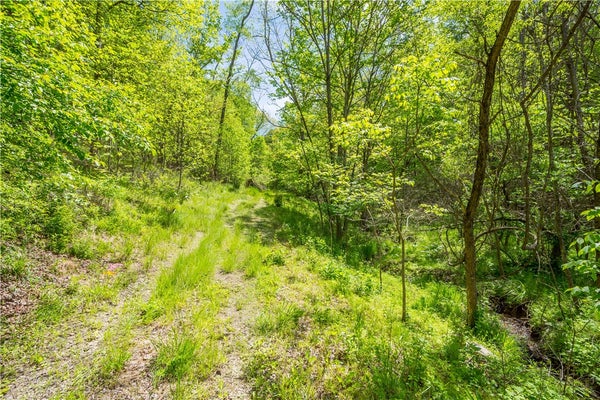 152 CHAPEL HILL RD, CLAYSVILLE, PA 15323 - Image 4bb86dc704c0f37e967c5fd4e90d5556/3486659659