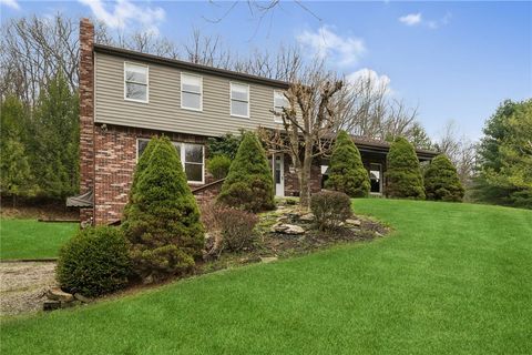 1249 Camp Nancy Rd Washington Twp PA 15613