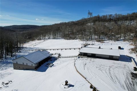 Photo of 189 Josh Dr, Glen Campbell, PA 15742 (MLS # 1737907)