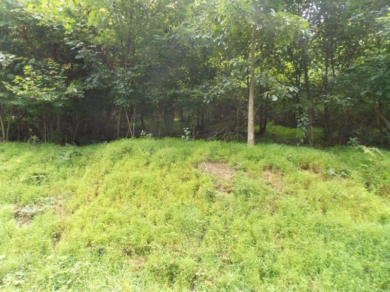 Lots 1&2 Brady's Landing