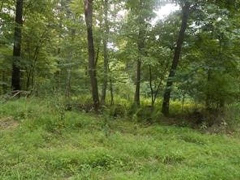 Lots 1&2 Brady's Landing Perry Twp PA 16041