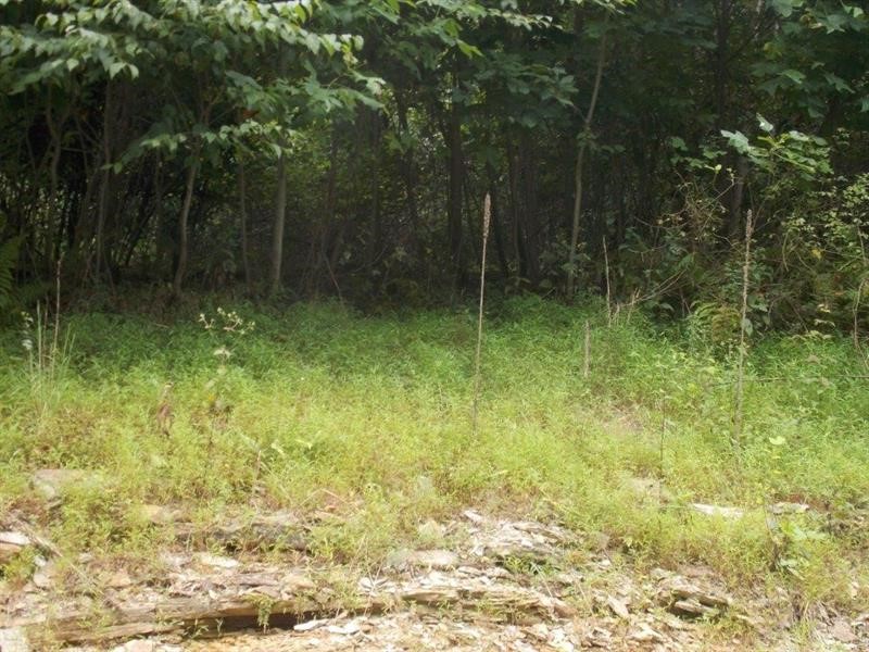 Lots 1&2 Brady's Landing