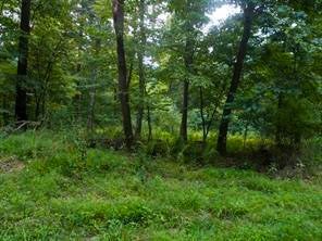 Vacant Land For Sale - LOTS 1&2 Brady's Landing<br/> Perry Twp, PA 16041