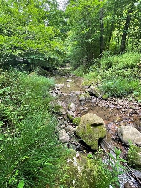 Vacant Land For Sale - 00 Greenlee Rd, Lot #1a<br/> Sandy Lake Twp, PA 16342