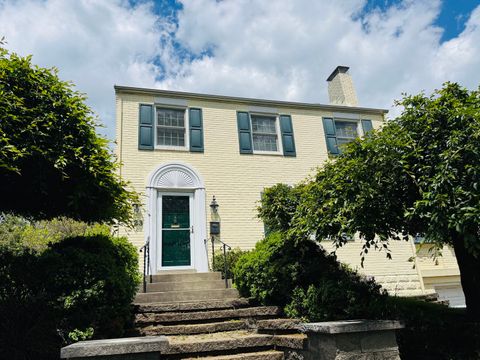 Photo of 123 W 8th Street, Pittsburgh, PA 15215 (MLS # 1752591)