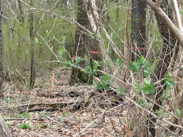 1765 Locust Rd