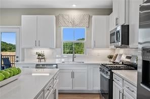 142 Elk Ridge Drive