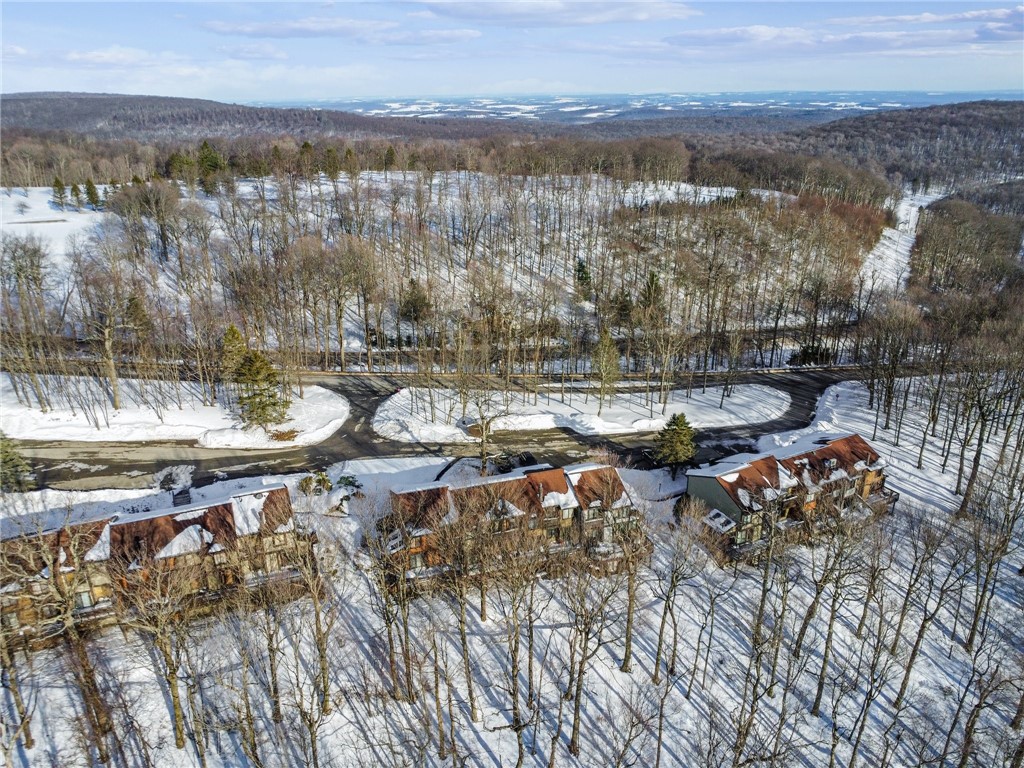 55 Swiss Mountain Dr Loop, Seven Springs Resort, Pennsylvania image 33