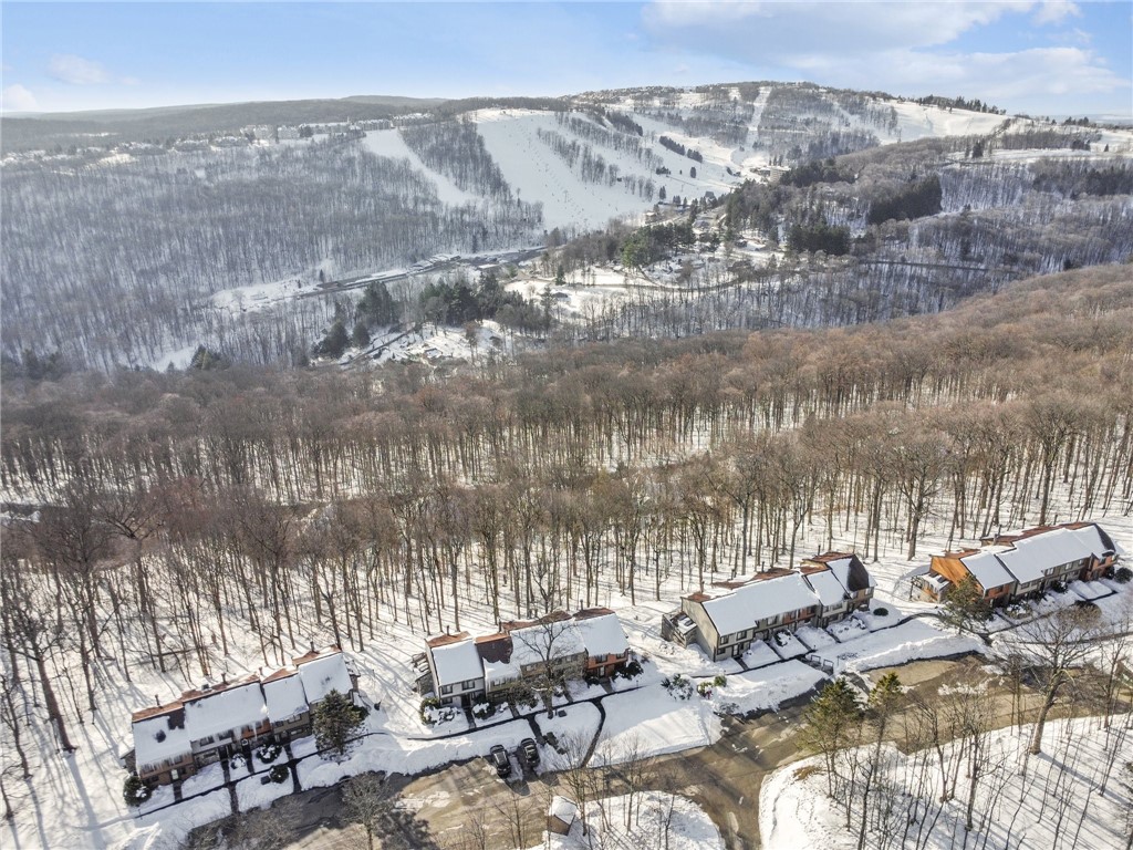 55 Swiss Mountain Dr Loop, Seven Springs Resort, Pennsylvania image 31