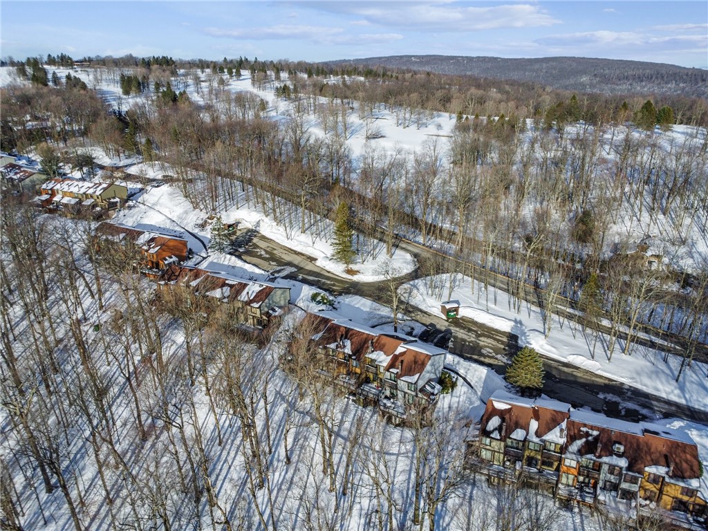 55 Swiss Mountain Dr Loop, Seven Springs Resort, Pennsylvania image 34
