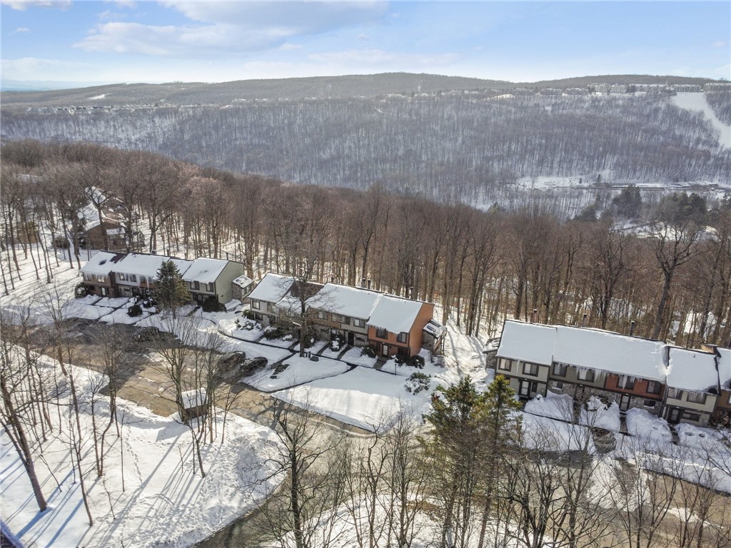 55 Swiss Mountain Dr Loop, Seven Springs Resort, Pennsylvania image 32