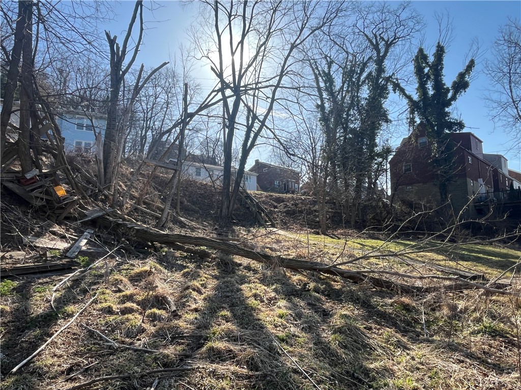 Bellevue, Pennsylvania 15202, United States, ,Residential,Active,89347