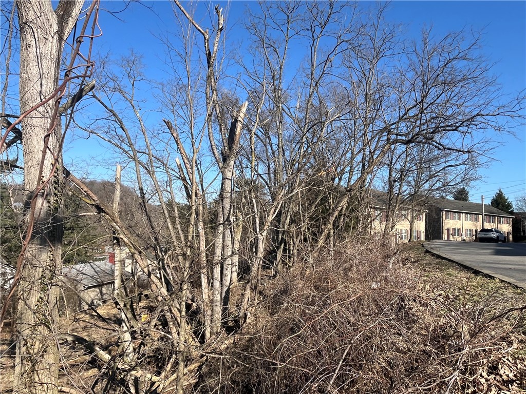 Bellevue, Pennsylvania 15202, United States, ,Residential,Active,89347