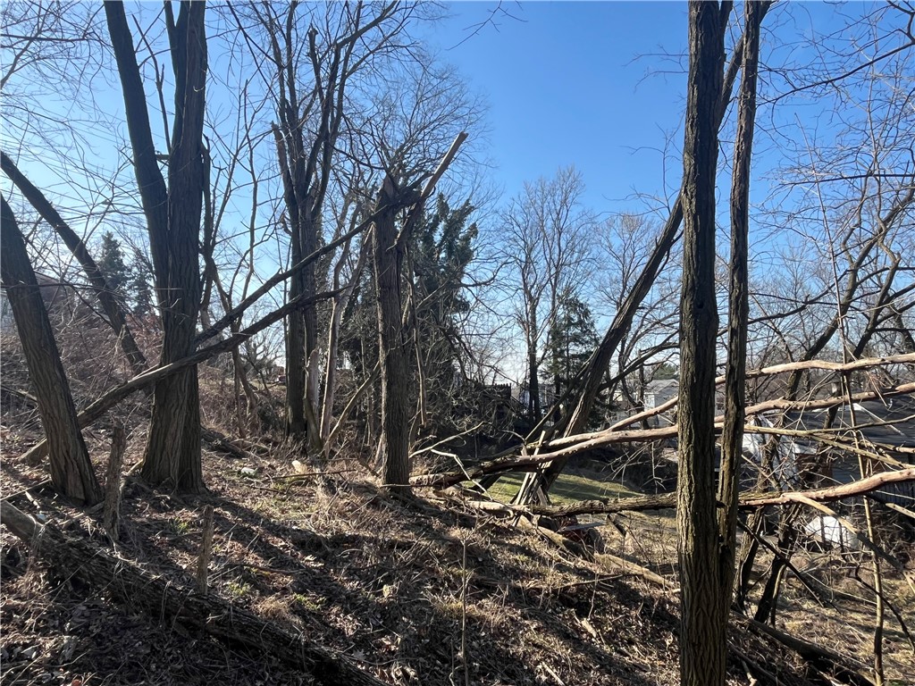 Bellevue, Pennsylvania 15202, United States, ,Residential,Active,89347