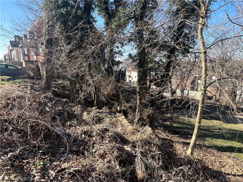 Bellevue, Pennsylvania 15202, United States, ,Residential,Active,89347