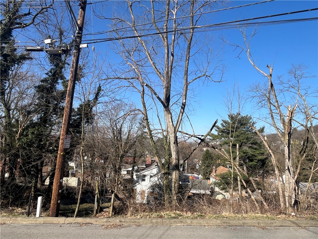 Bellevue, Pennsylvania 15202, United States, ,Residential,Active,89347