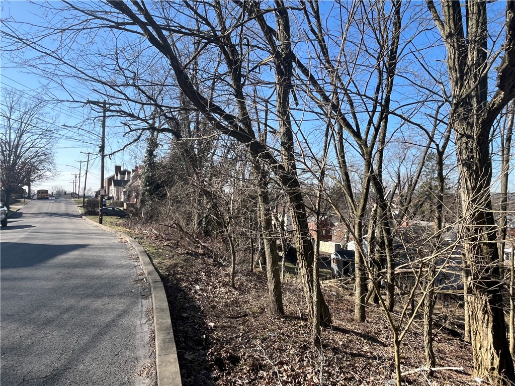 Bellevue, Pennsylvania 15202, United States, ,Residential,Active,89347