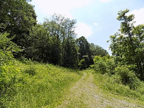 Photo for 488 Windy Flats Road