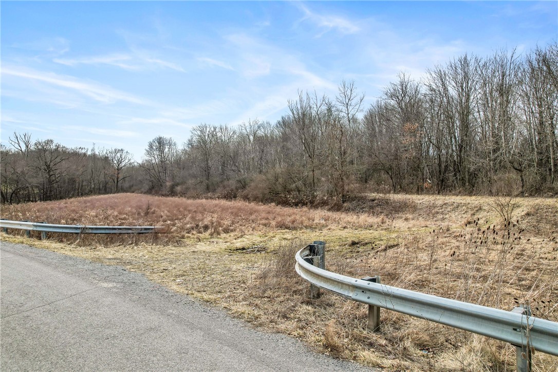 Trout Island Rd, Hermitage, Pennsylvania image 1