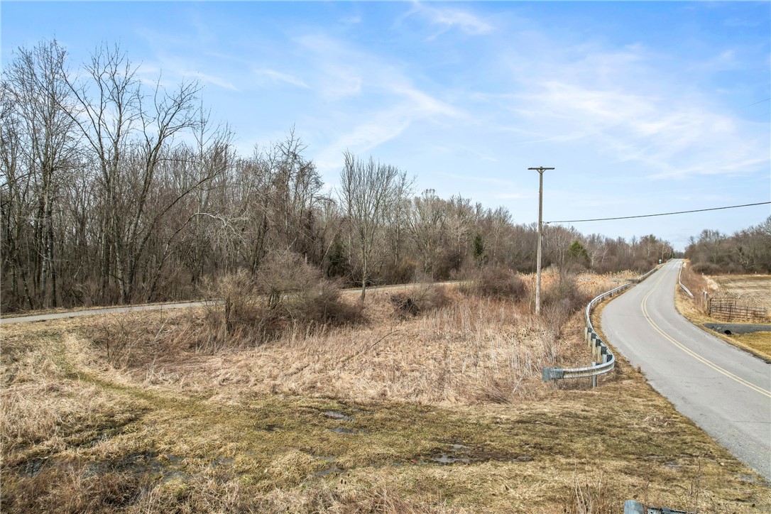 Trout Island Rd, Hermitage, Pennsylvania image 8