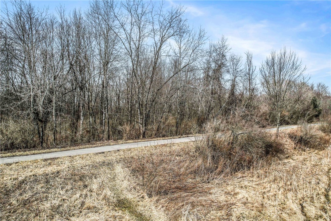 Trout Island Rd, Hermitage, Pennsylvania image 7
