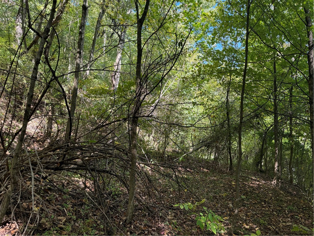 Jackson Twp - But, Pennsylvania 16037, United States, ,Residential,Active,42775