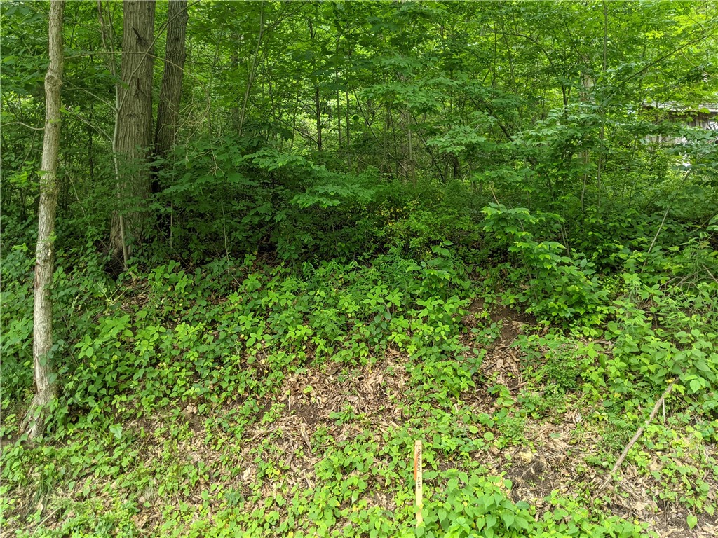 Jackson Twp - But, Pennsylvania 16037, United States, ,Residential,Active,42775