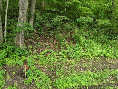 000 Fanker Road Jackson Twp - BUT PA 16037
