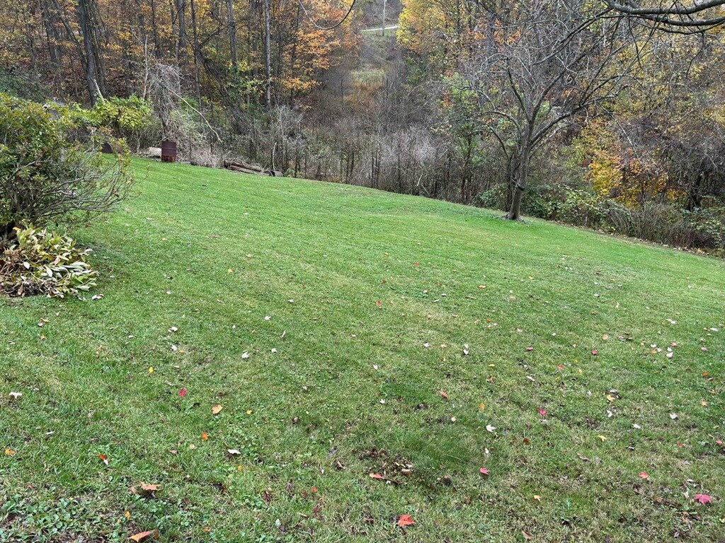 408 Patterson Run Road