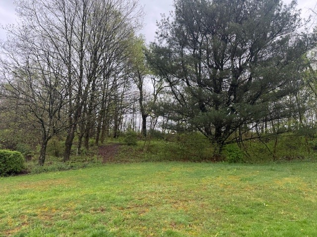 127 Georges Creek Rd