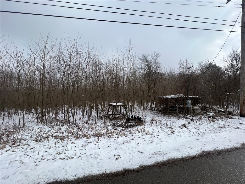 Lots 61-64 Willow Drive