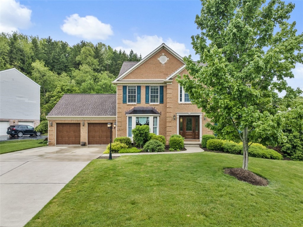 631 White Pine