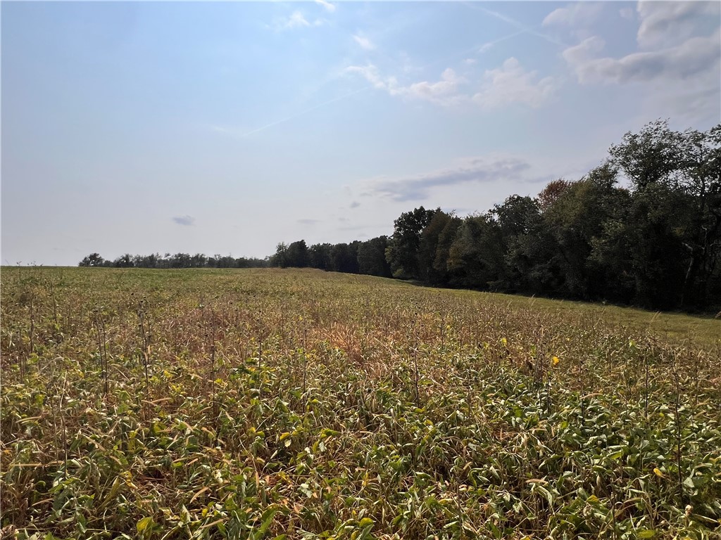 Loyalhanna, Pennsylvania 15681, United States, 4 Bedrooms Bedrooms, ,5 BathroomsBathrooms,Residential,Active,246601