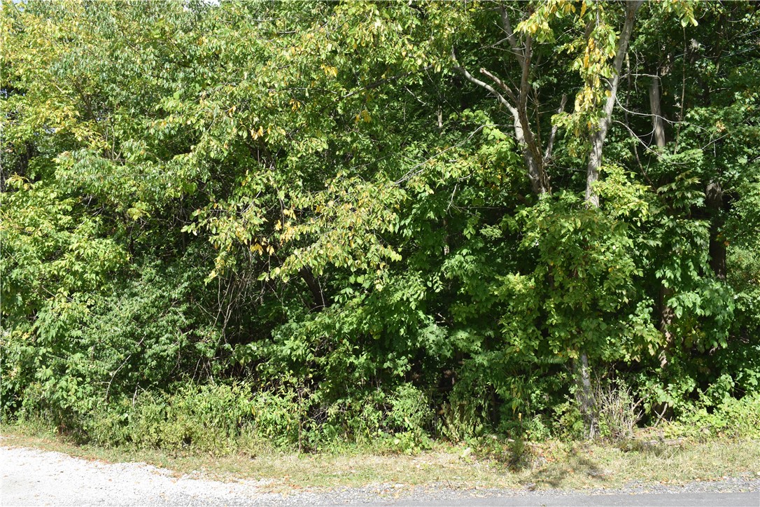 North Strabane, Pennsylvania 15317, United States, ,Residential,Active,207103