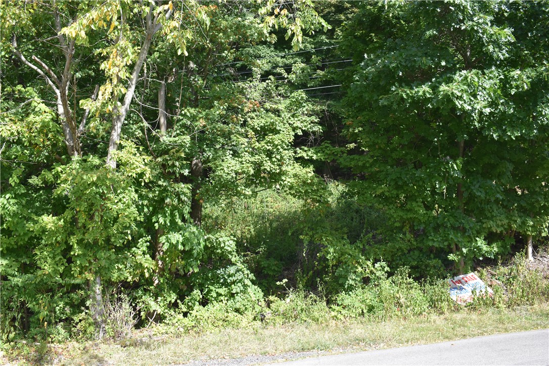 North Strabane, Pennsylvania 15317, United States, ,Residential,Active,207103