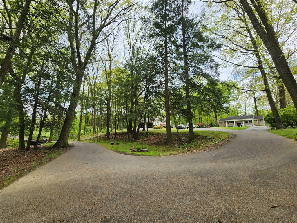 Neshannock Twp, Pennsylvania 16105, United States, 5 Bedrooms Bedrooms, ,3 BathroomsBathrooms,Residential,Active,31558