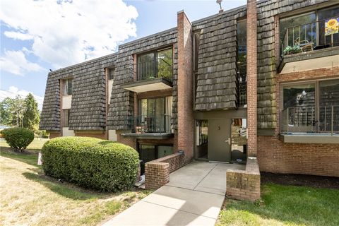 333 Forest Green 333 Moon/Crescent Twp PA 15108