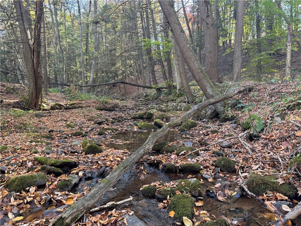 262 Shelby Ln Rd, Mammoth Cave, Kentucky image 7