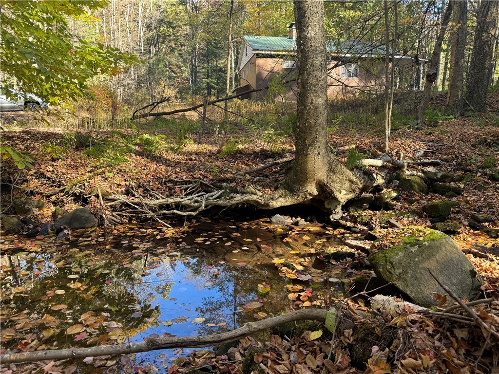 262 Shelby Ln Rd, Mammoth Cave, Kentucky image 6