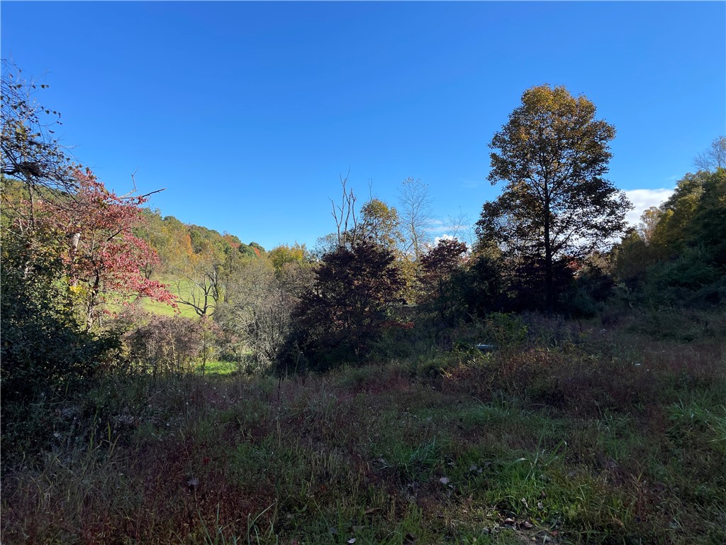 Lot 9 Shag Bark Grove Ct. Ct, Murrysville, Pennsylvania image 5