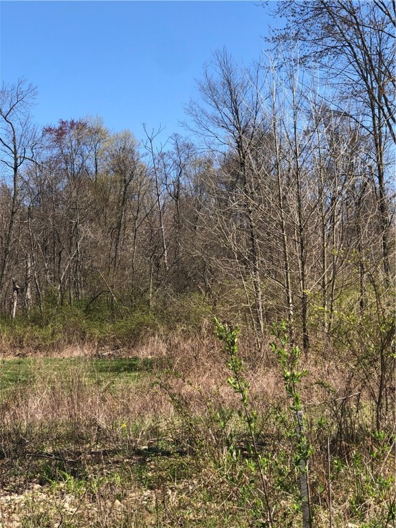 lots 4,7,8 W. Washington St.