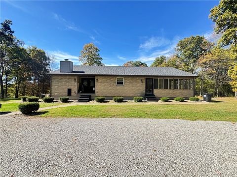 Photo of 437 Ridge Rd, Darlington, PA 16115 (MLS # 1726137)