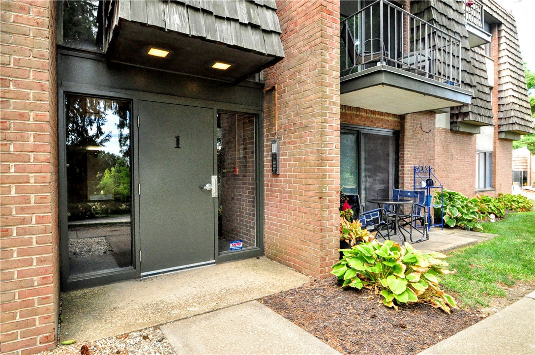 113 Forest Green Dr