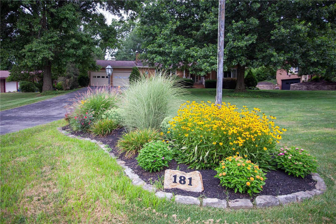 181 Craig Dr