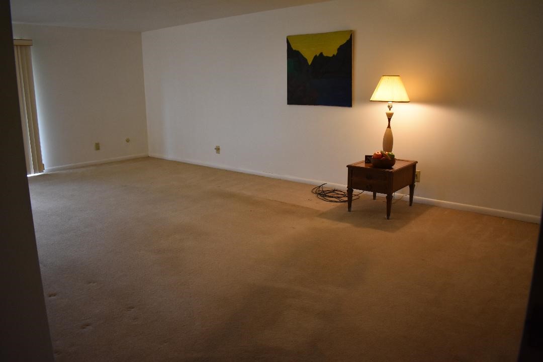 1515 Forest Green Dr