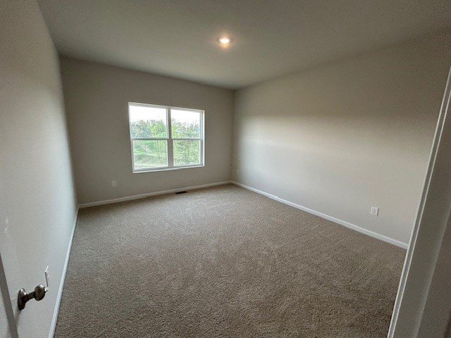 169 Smith Lane Ln, Chippewa Twp, Kentucky image 18