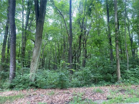 0 Woodlands Dogwood & Lakeview Connoquenessing Twp PA 16033
