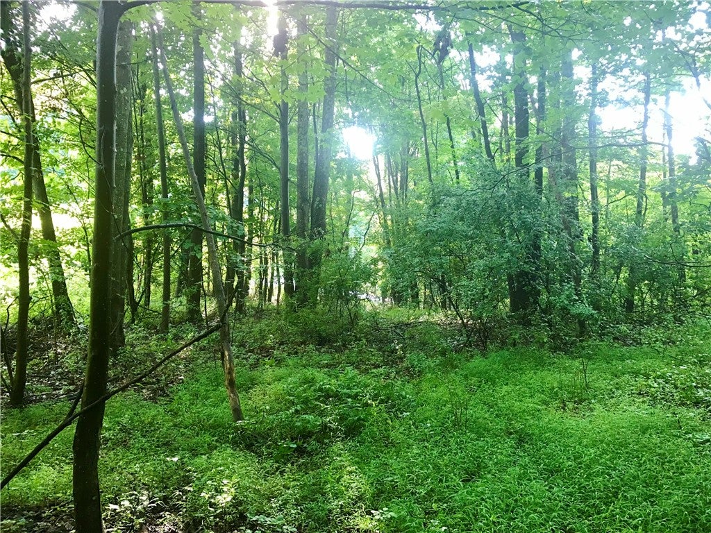 0 Palko Road